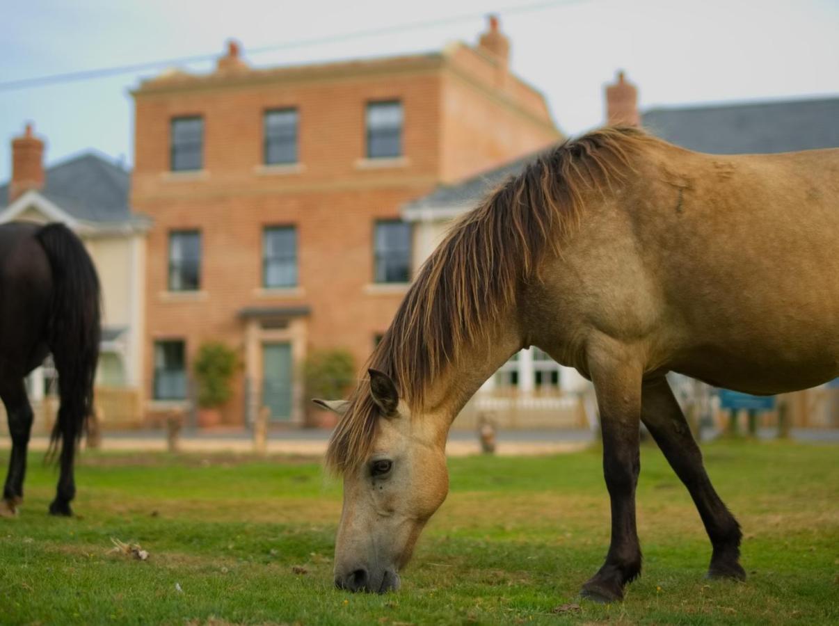 The Cloud Brockenhurst Bed & Breakfast Dış mekan fotoğraf