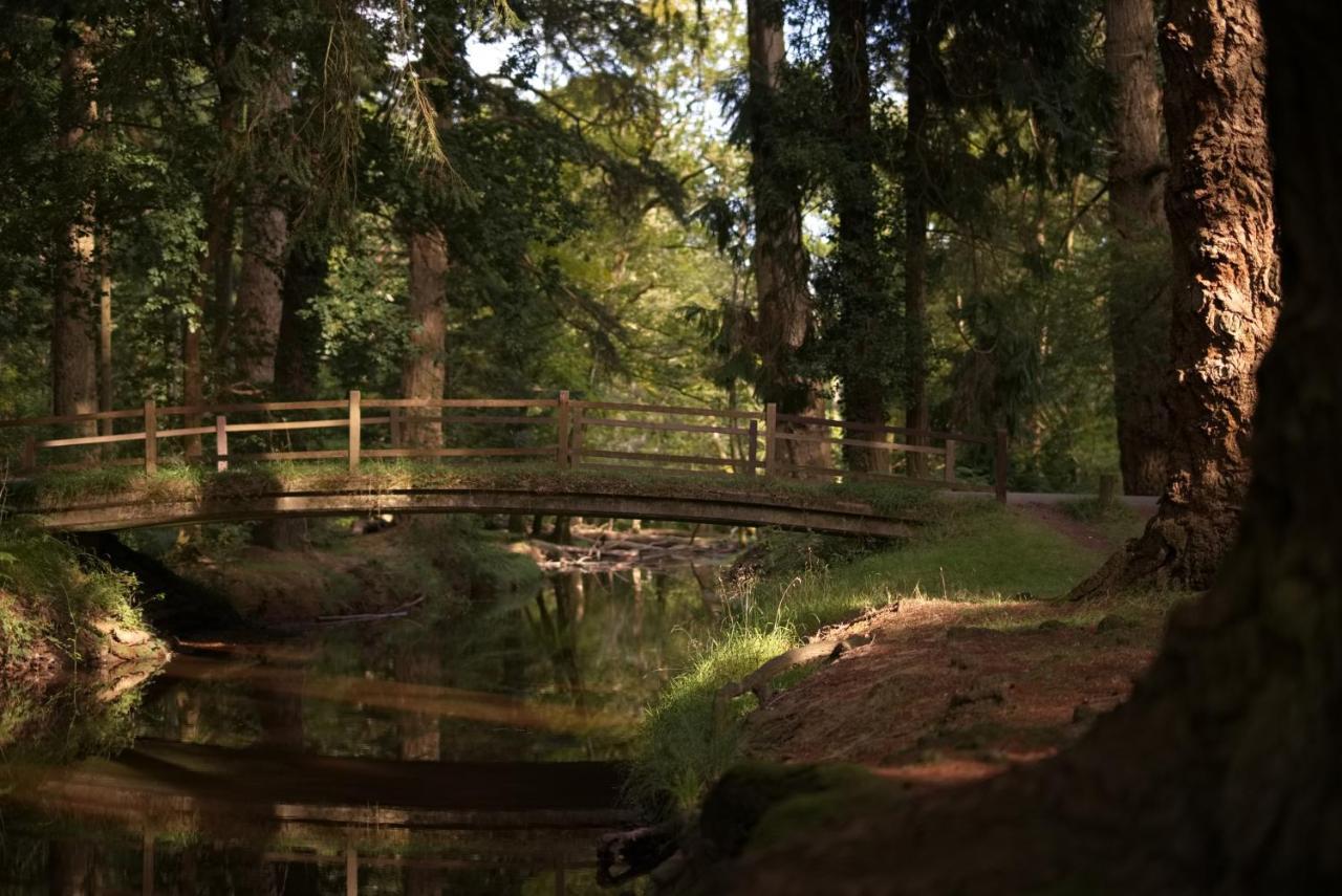 The Cloud Brockenhurst Bed & Breakfast Dış mekan fotoğraf